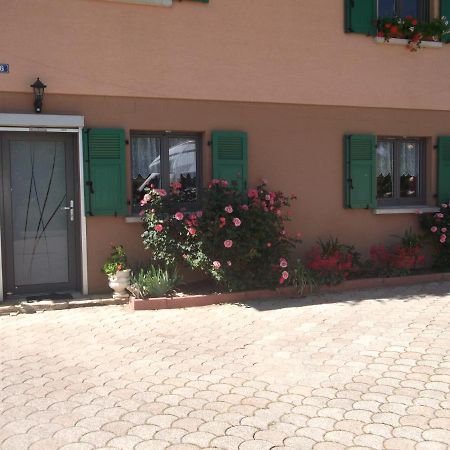Gite les Rosiers Traubach-le-Bas Extérieur photo