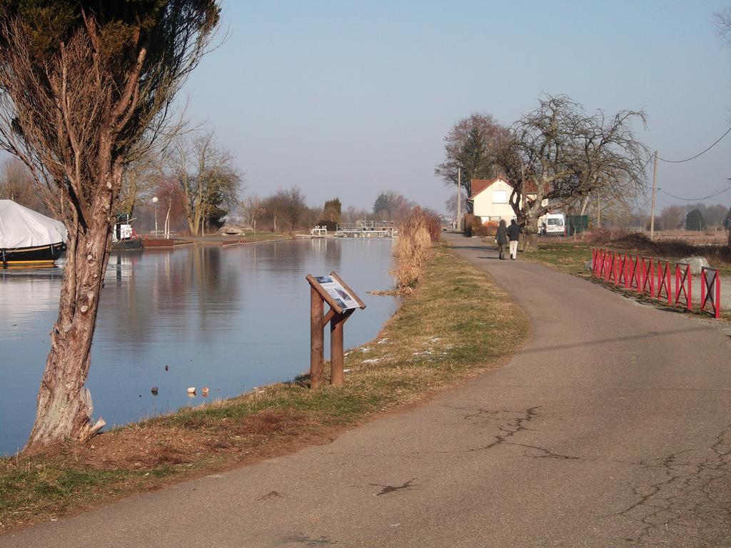 Gite les Rosiers Traubach-le-Bas Extérieur photo